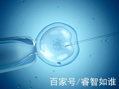 孕妈代妈应聘机构门诊